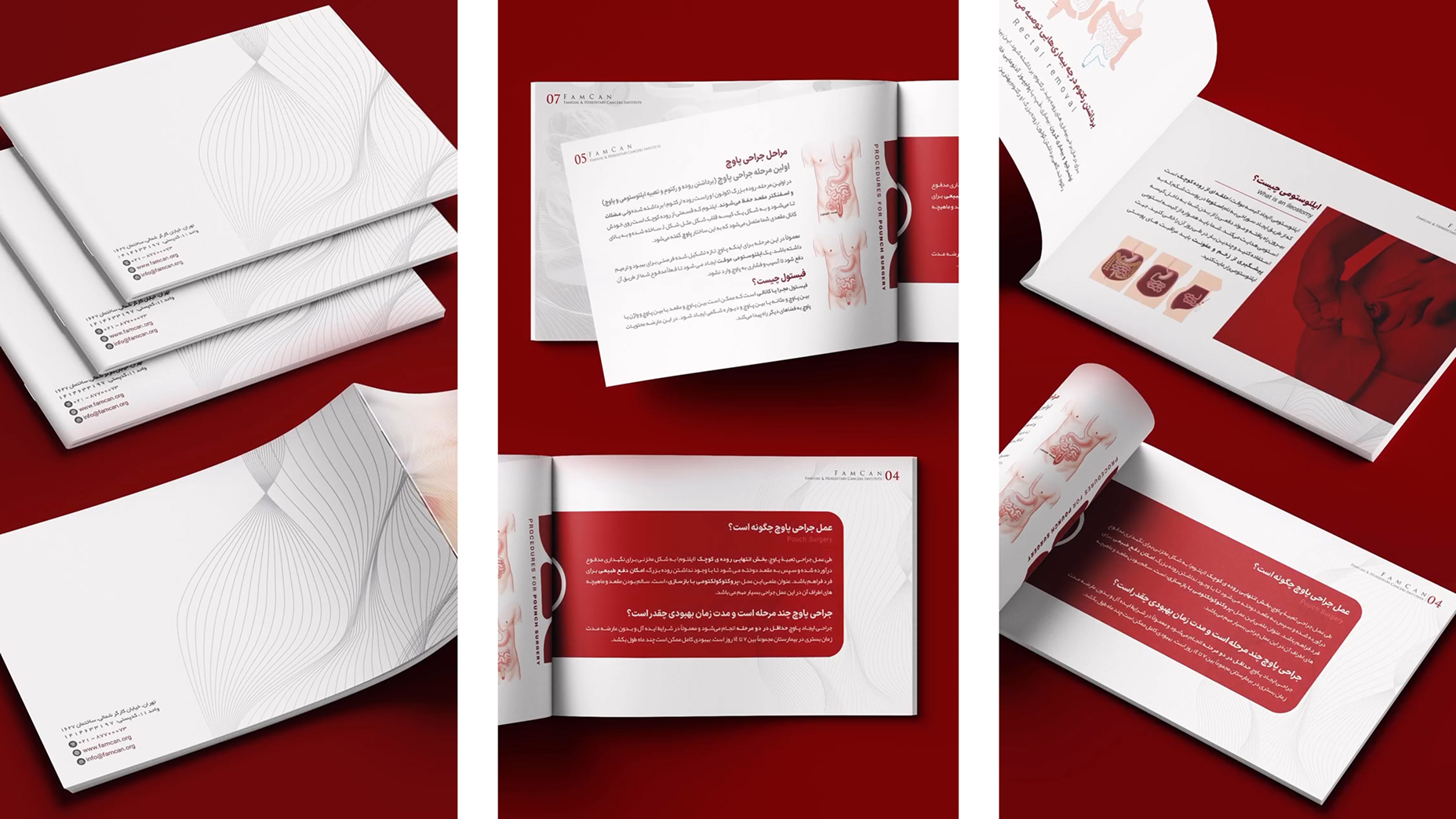 Scientific and Educational Booklets